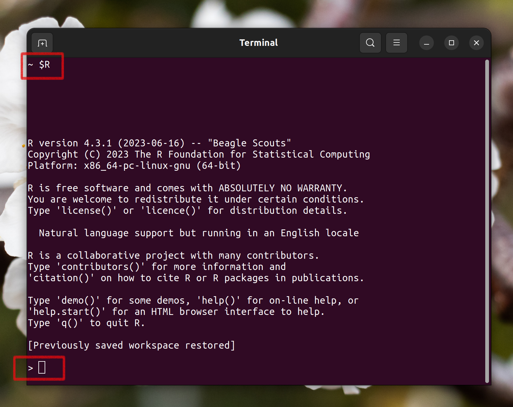 R_linux