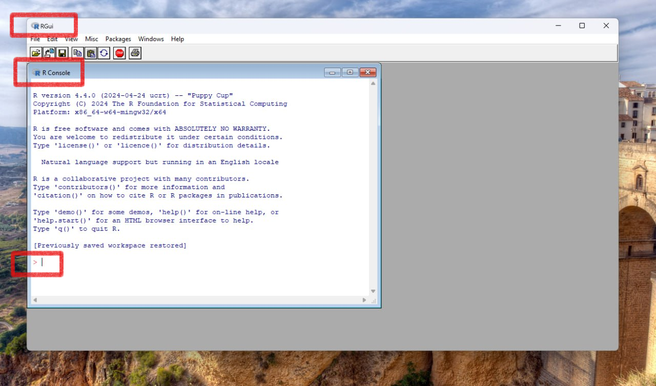 R_GUI