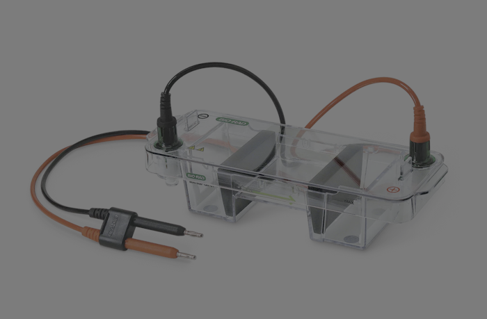 NAs electrophoresis