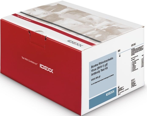 OneStep RT-PCR Kit