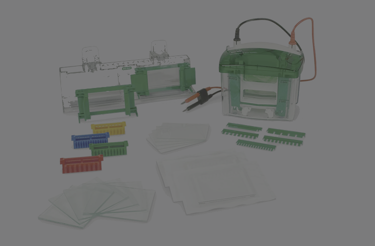 Electrophoresis