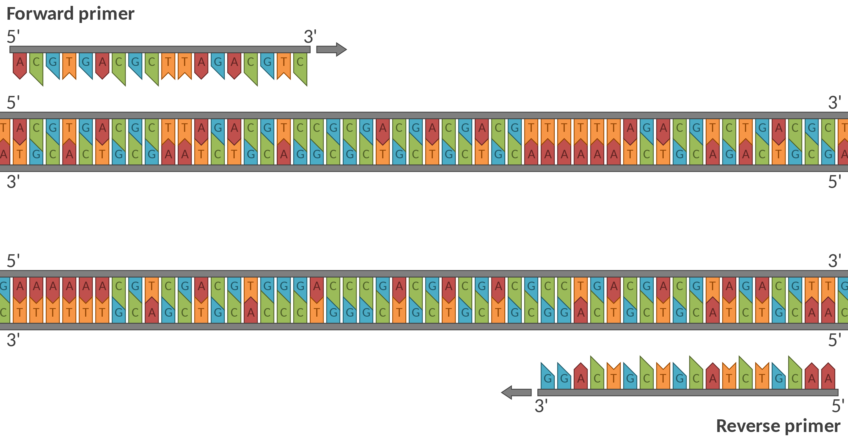 Sequencing Data Analysis