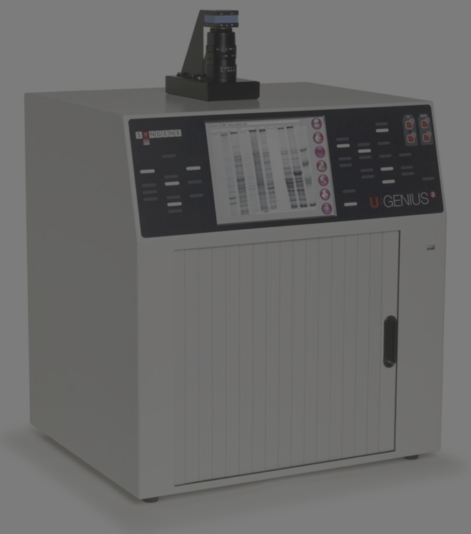 Gel documentation system
