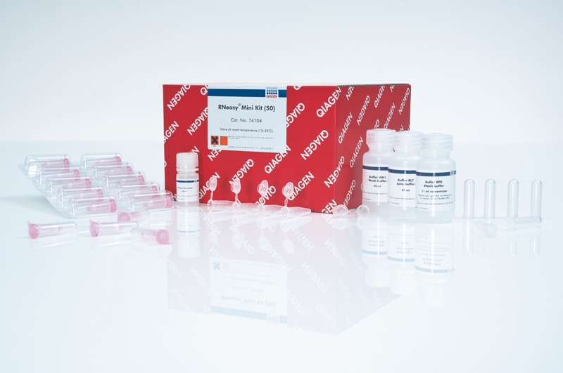 RNA Extraction