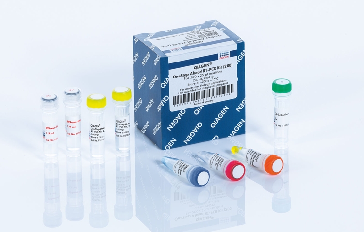 OneStep RT-PCR Kit
