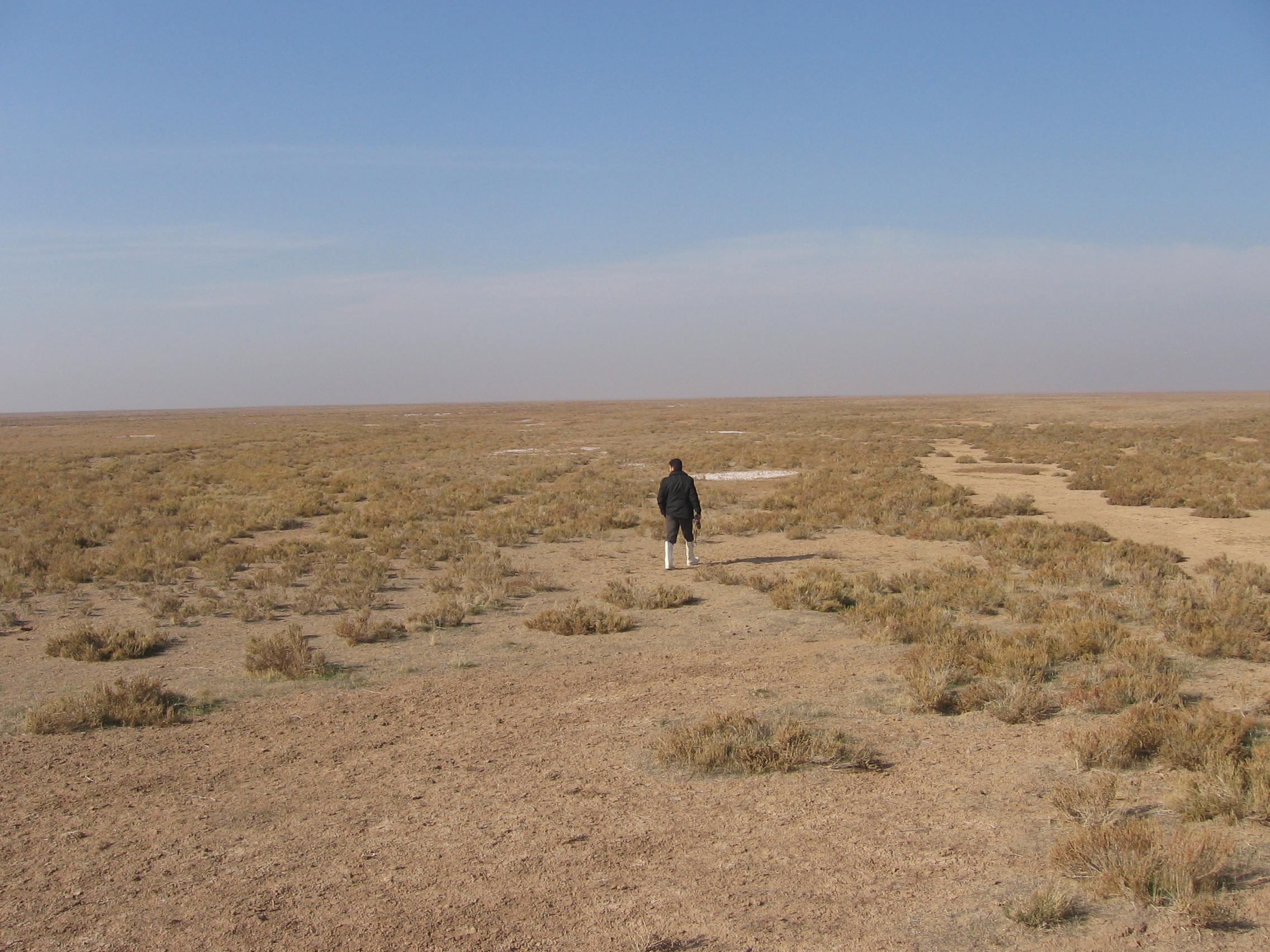 Hamed Abdollahi field work
